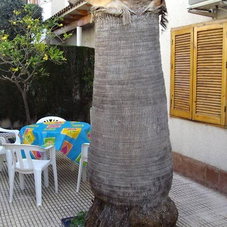 La Casa De La Palmera Apartamento Torrevieja Exterior foto