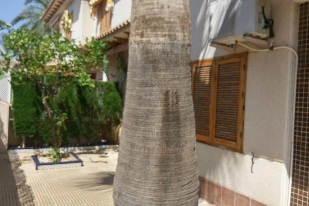 La Casa De La Palmera Apartamento Torrevieja Exterior foto